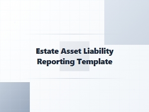 Estate Asset Liability Reporting Template